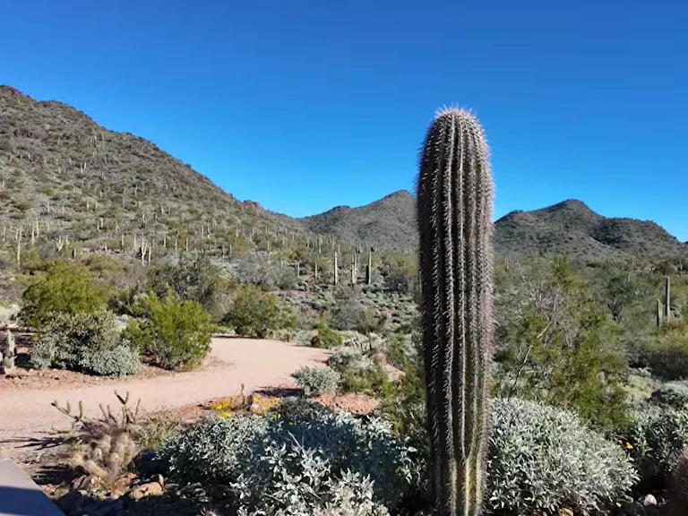 Desert Mountain Trail