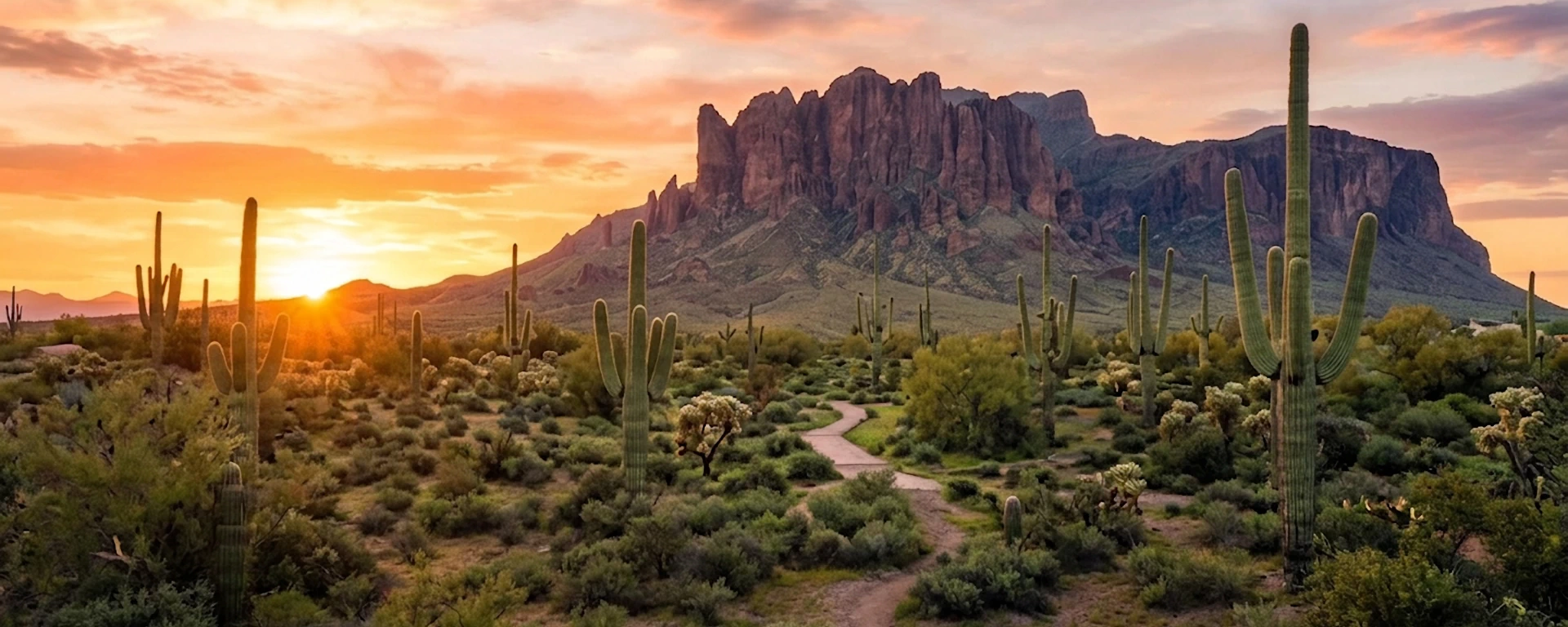 Arizona Sunrise